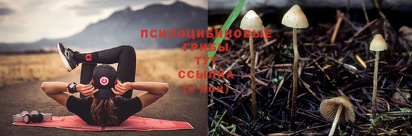 MESCALINE Володарск