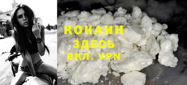 сатива Вяземский