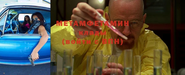 сатива Вяземский
